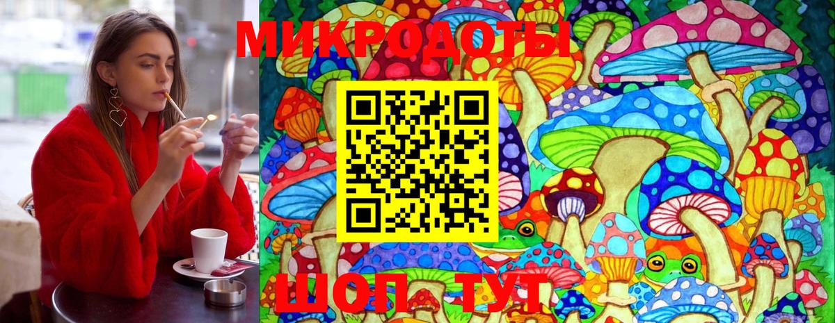 Галлюциногенные грибы Cubensis Алексин