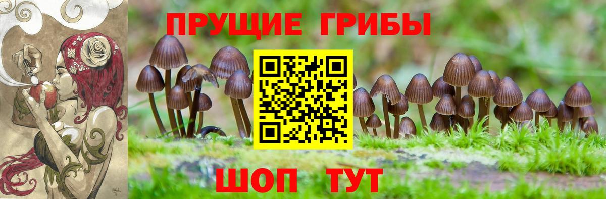 Галлюциногенные грибы прущие грибы  Вход с VPN  Алексин  Псилоцибиновые грибы мухоморы 